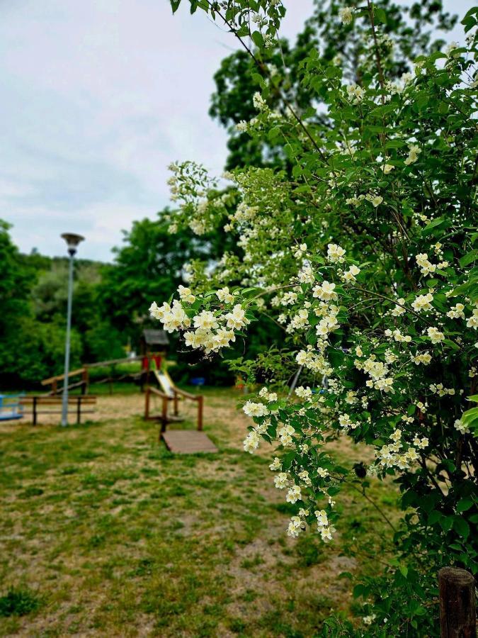 Smoldzinskie Zacisze Smołdzino المظهر الخارجي الصورة